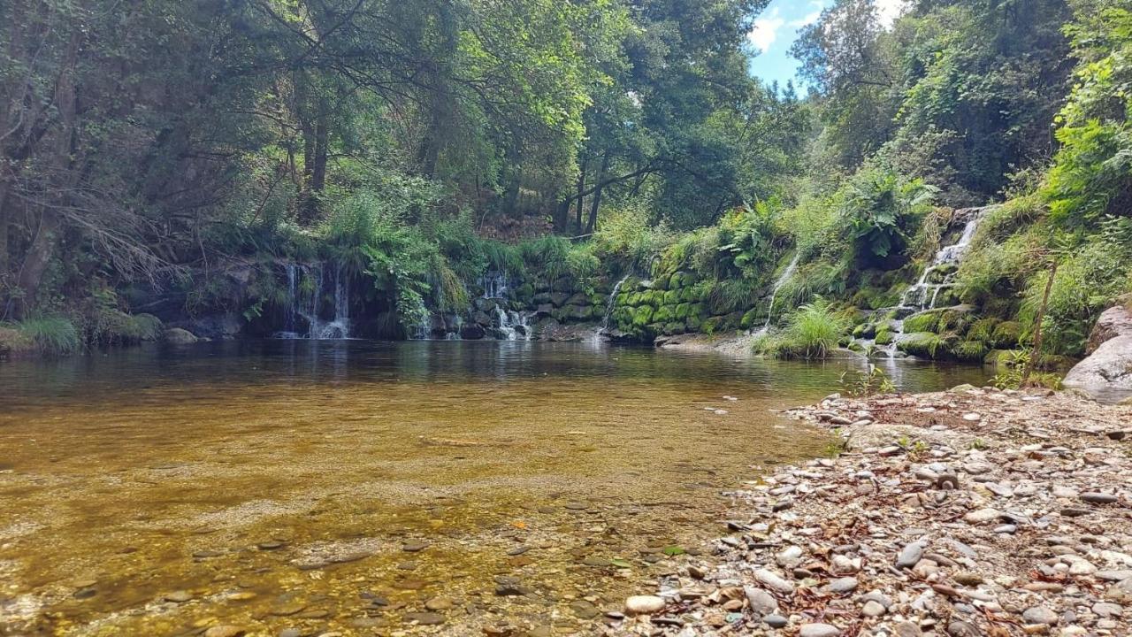 Sitio Dos Cogumelos Alojamentos Amarante Eksteriør billede